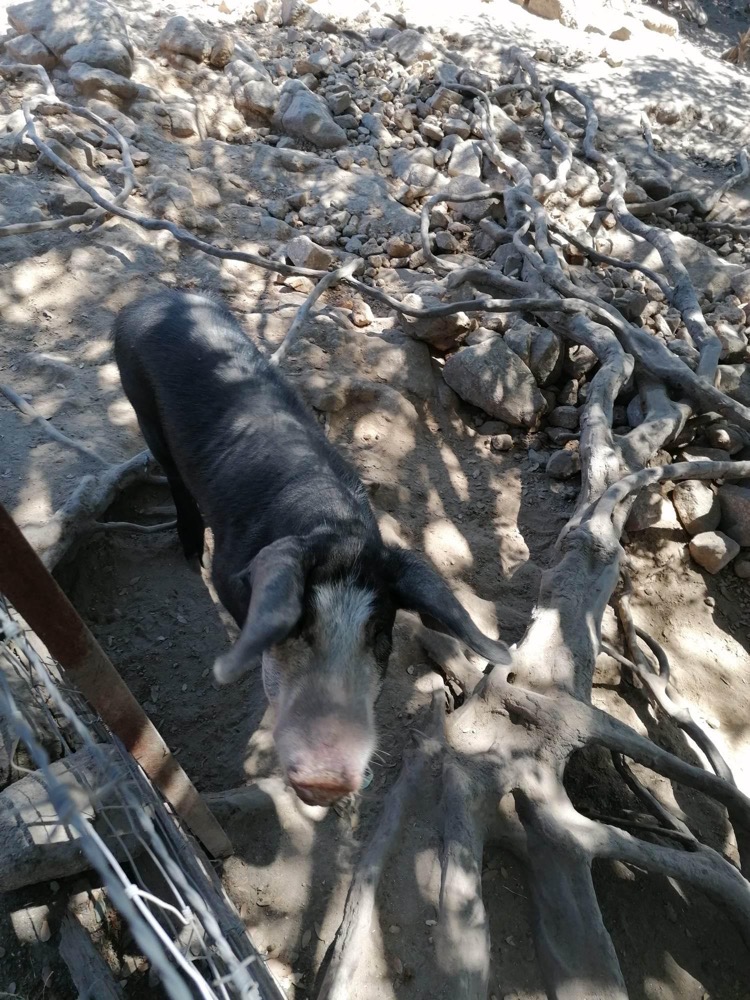 Photo n° 5 de l'avis de Al.v fait le 02/08/2023 à 16:29