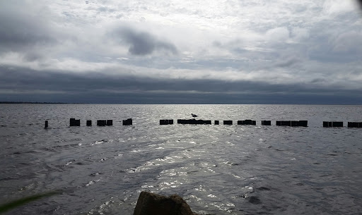 Nature Preserve «Seatuck Environmental Association», reviews and photos, 550 S Bay Ave, Islip, NY 11751, USA