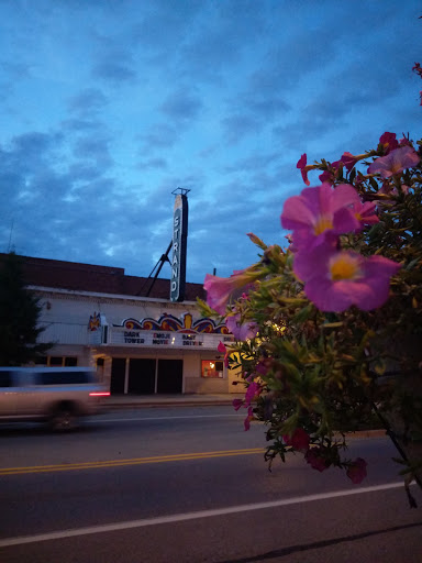 Movie Theater «Strand Theatre», reviews and photos, 219 W Chicago Rd, Sturgis, MI 49091, USA