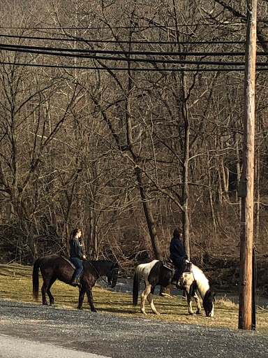 Beauty Salon «Elizabeth Jacob Spa & Salon», reviews and photos, 18821 Frederick Rd, Parkton, MD 21120, USA