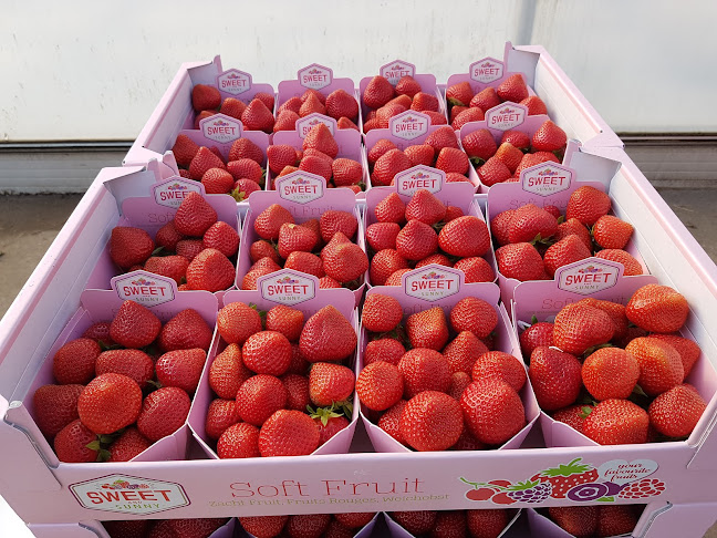Beoordelingen van Aardbeienkwekerij Lavrijsen B.v. in Eindhoven - Fruit- en groentewinkel