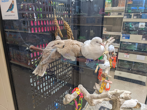 Pet Supply Store «PetSmart», reviews and photos, 777 S Willow St, Manchester, NH 03103, USA