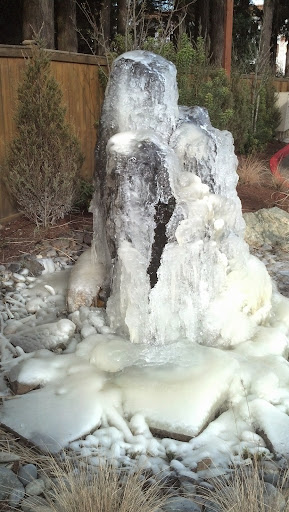 Animal Feed Store «Wilco Farm Store», reviews and photos, 3408 Hunt St NW, Gig Harbor, WA 98335, USA