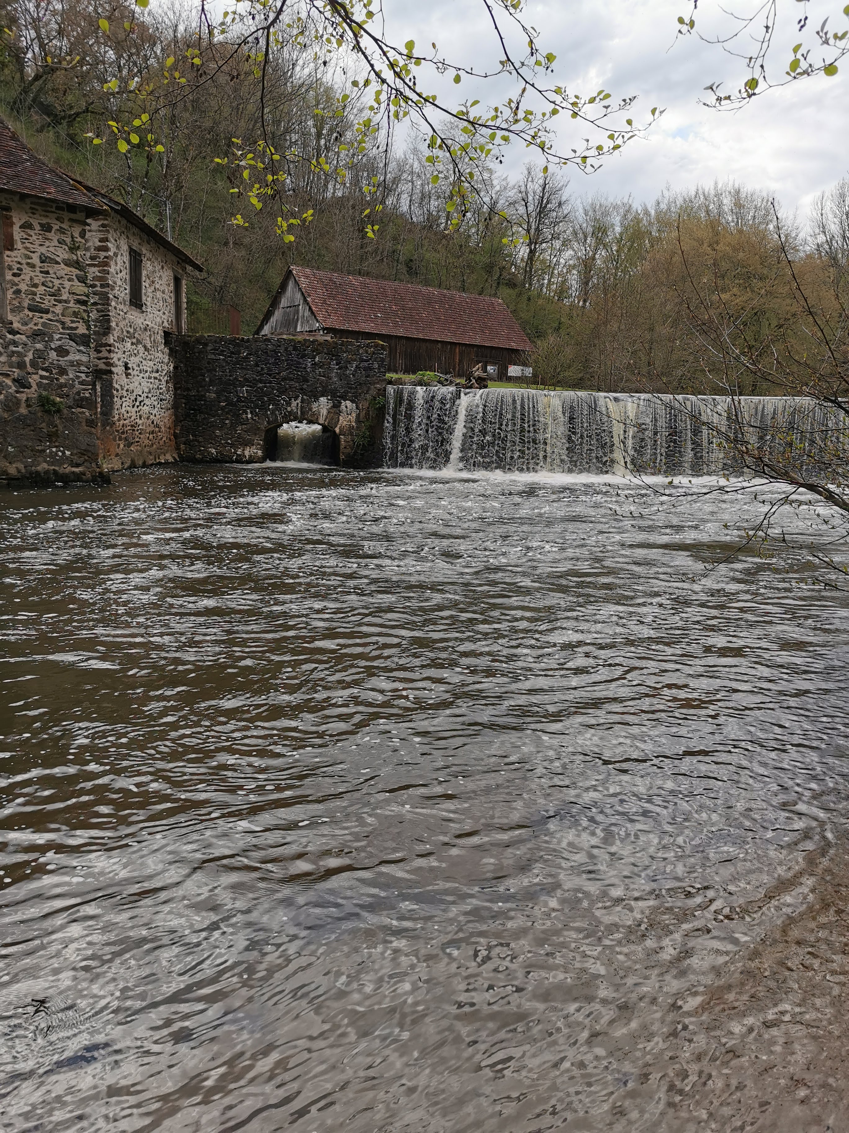 Photo n° 2 de l'avis de Maude.e fait le 24/04/2023 à 05:02