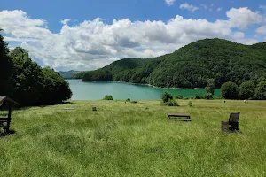 Lacul Paltinu - Parcare&Camping image