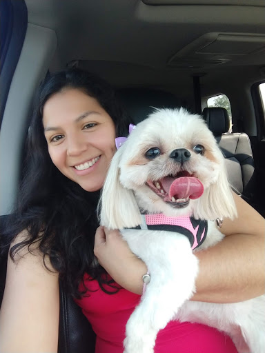 Pet Supply Store «PetSmart», reviews and photos, 948 Springfield Rd, Union, NJ 07083, USA