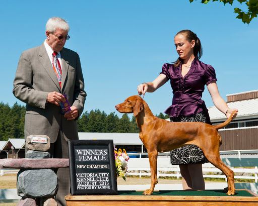 Companion Pet Clinic image