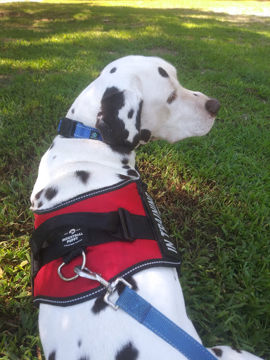 Park «Riverside Park», reviews and photos, 575 Riverside Rd, Roswell, GA 30075, USA