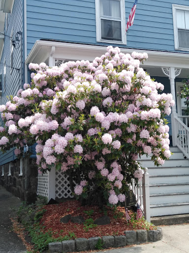 Supermarket «Super Stop & Shop», reviews and photos, 19 Howley St, Peabody, MA 01960, USA