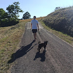 Photo n°11 de l'avis de Paulo.a fait le 25/06/2023 à 21:36 sur le  Organic farm - farm The sky Strela Mario Marini à Strela