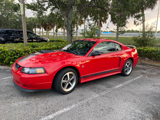 Used Car Dealer «Miami Imports», reviews and photos, 14341 NW 7th Ave, Miami, FL 33168, USA