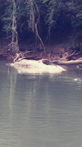 Golf Club «The Hooch Golf Club», reviews and photos, 2705 Peachtree Industrial Blvd, Duluth, GA 30097, USA