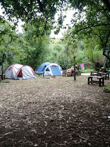 Camping El Bosque - Panguipulli