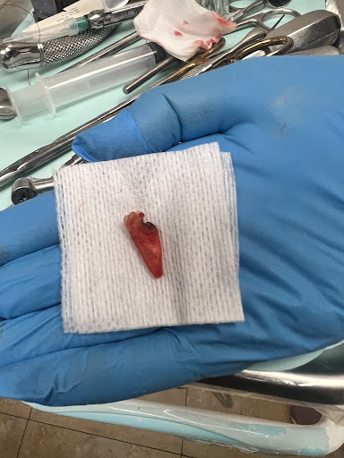 Bellflower Dental Group - Cosmetic and Emergency Dentist Bellflower image