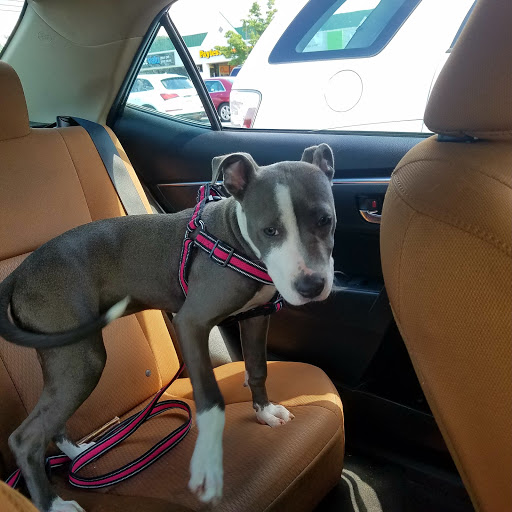 Dollar Store «Family Dollar», reviews and photos, 1636 NJ-38 #10, Mt Holly, NJ 08060, USA