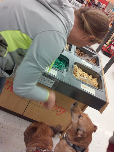 Pet Supply Store «Petco Animal Supplies», reviews and photos, 2131 Pleasant Hill Rd, Duluth, GA 30096, USA