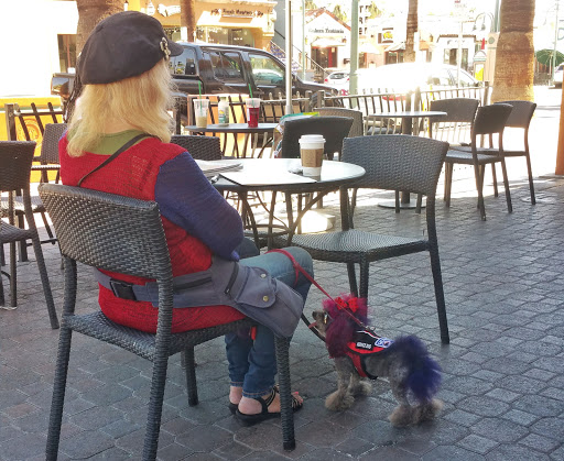 Starbucks image