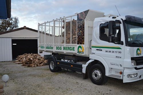 Magasin de bois de chauffage PETIT F ET Y Saint-Savin