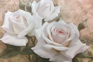 Rose Nails & Spa image