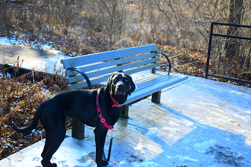 Nature Preserve «Hoover Forest Preserve», reviews and photos, 11285 W Fox Rd, Yorkville, IL 60560, USA