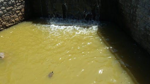 Picnic Ground «Gateway Island», reviews and photos, 1875 W College St, Murfreesboro, TN 37129, USA