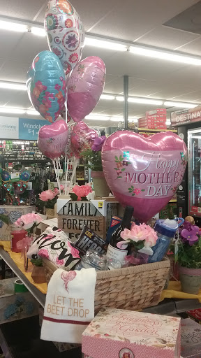 Discount Store «Dollar General», reviews and photos, 26038 NC-12, Waves, NC 27982, USA