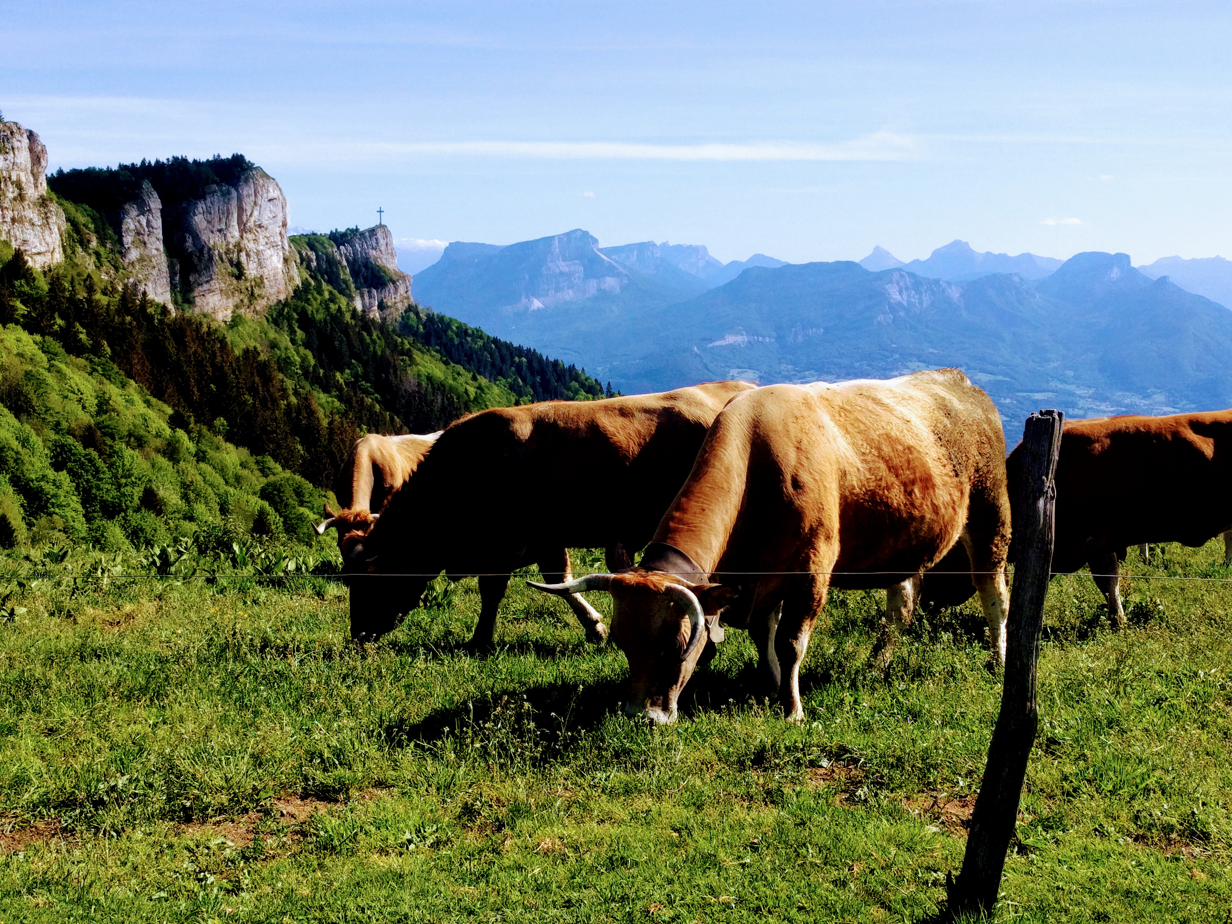 Photo n° 3 de l'avis de Charlotte.O fait le 24/05/2020 à 17:24