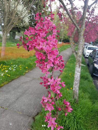 Leather Goods Store «Tanner Goods Flagship Store», reviews and photos, 4719 N Albina Ave, Portland, OR 97217, USA