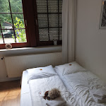 Photo n°2 de l'avis de Bridget.e fait le 17/06/2019 à 17:48 sur le  Hotel & Restaurant Lindengarten Lübben Spreewald à Lübben