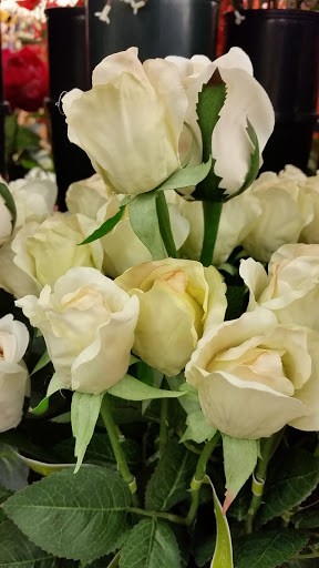 Craft Store «Hobby Lobby», reviews and photos, 4701 J.F.K. Blvd, North Little Rock, AR 72116, USA