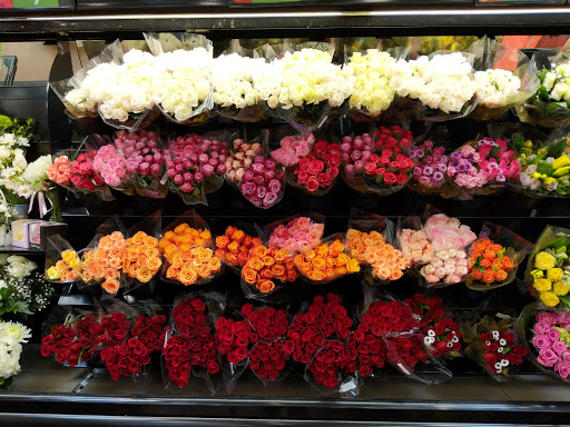 Grocery Store «Kroger Marketplace», reviews and photos, 2608 E Farm to Market Rd 544, Wylie, TX 75098, USA