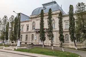 Muzeul de Științele Naturii din Dorohoi image