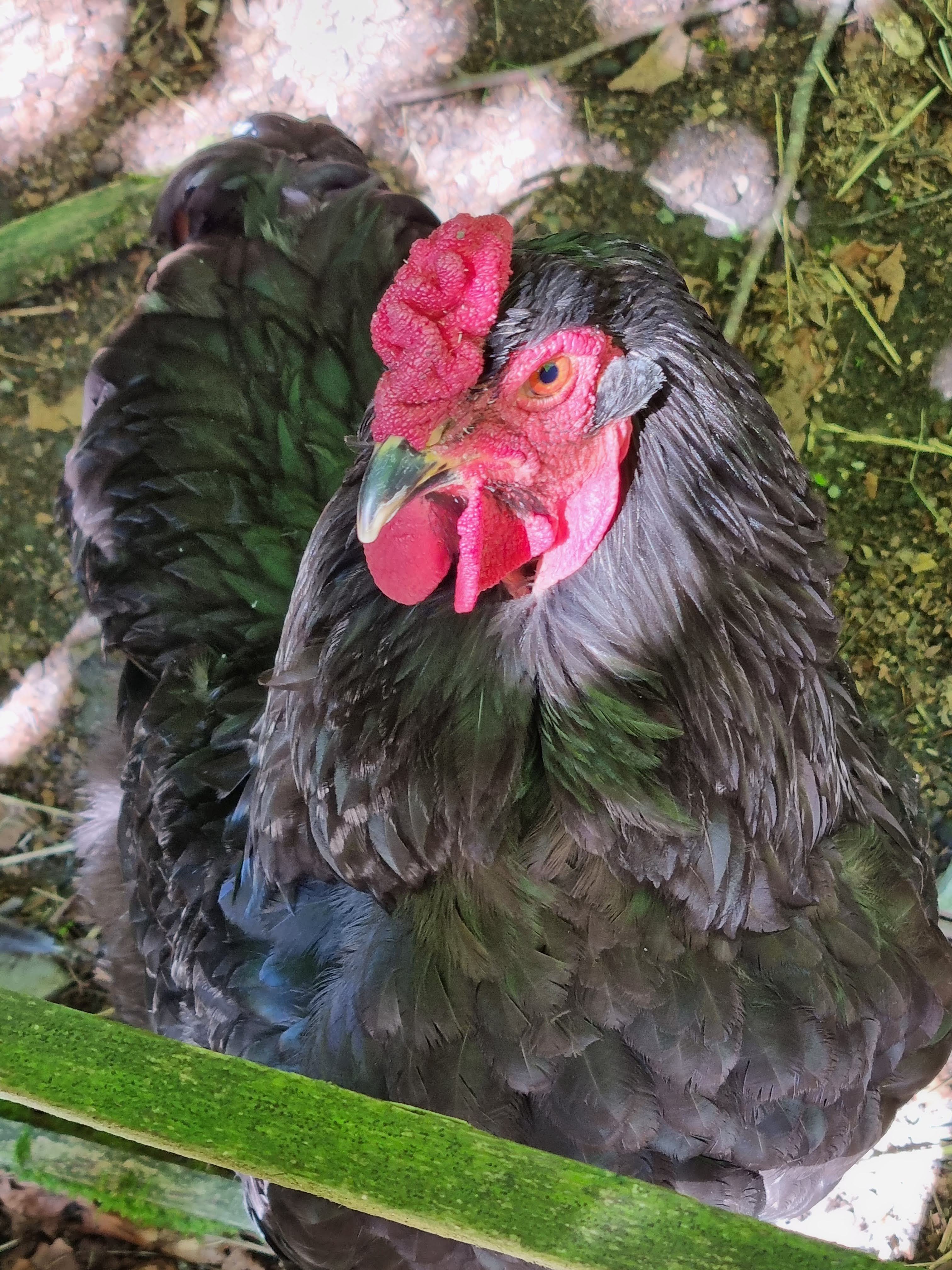 Photo n° 15 de l'avis de Laetitia.a fait le 27/08/2022 à 15:00