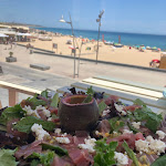 Photo n°1 de l'avis de Kelly.u fait le 10/06/2021 à 15:02 sur le  Praia com tempero à Armação de Pêra