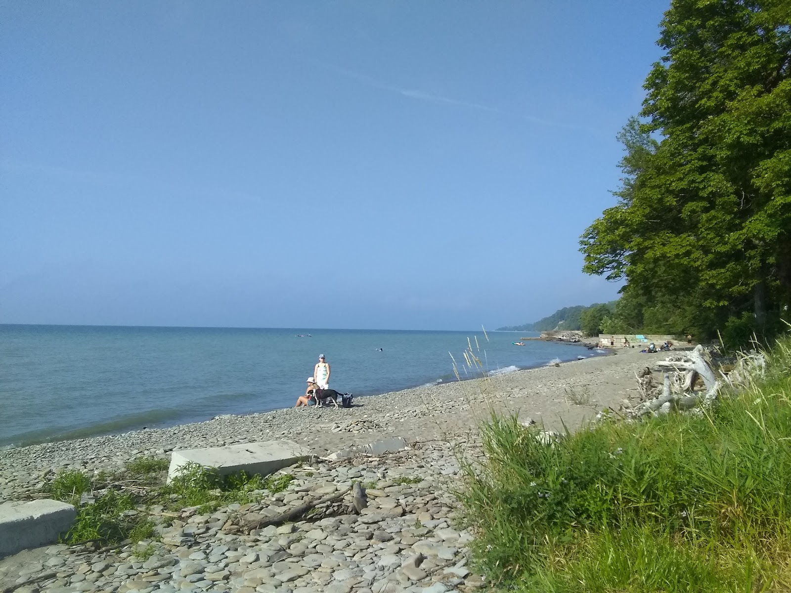 Foto di Avonia Beach con una superficie del ciottoli grigi
