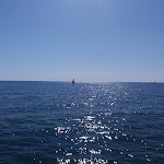 Photo n°4 de l'avis de Walter.. fait le 06/09/2022 à 03:20 sur le  Fernando à Forte dei Marmi