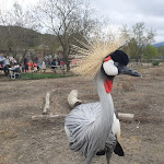 Photo n° 5 de l'avis de Claudine.a fait le 01/11/2022 à 19:50 pour Corsica Zoo à Olmeta-di-Tuda