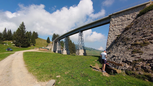 Rezensionen über Historische Eisenbahnbrücke in Küssnacht SZ - Museum