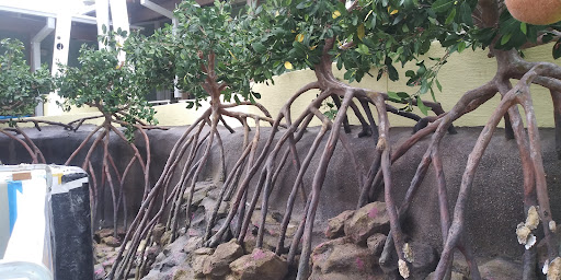 Animal Hospital «Loggerhead Marinelife Center», reviews and photos, 14200 U.S. Hwy 1, Juno Beach, FL 33408, USA