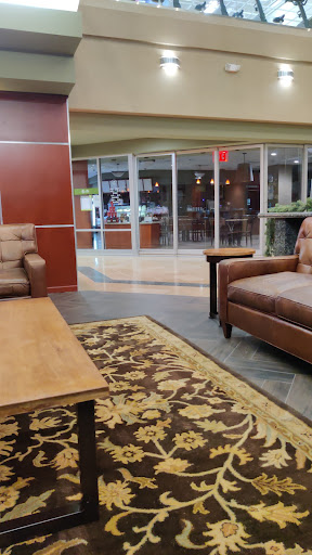 Gym «Life Time Fitness», reviews and photos, 14540 W McDowell Rd, Goodyear, AZ 85395, USA