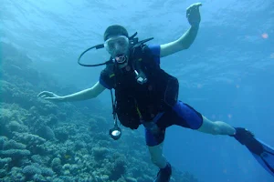 Scuba Diving in Tarkarli image
