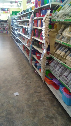 Dollar Store «Dollar Tree», reviews and photos, 7001 Cermak Rd, Berwyn, IL 60402, USA