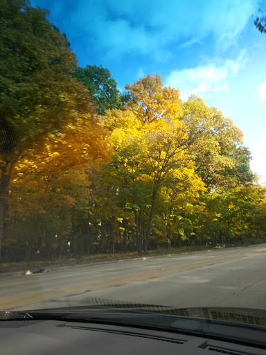 Nature Preserve «Forest Preserves of Cook County», reviews and photos, 9460 S Dee Rd, Park Ridge, IL 60068, USA