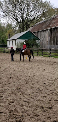 Miss Nicole's Horseback Riding and the Healing Farm