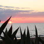 Photo n°2 de l'avis de angela.u fait le 18/11/2021 à 13:27 sur le  266 La Barraca à Pomezia