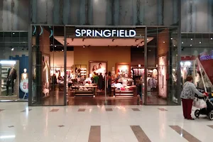 Springfield image