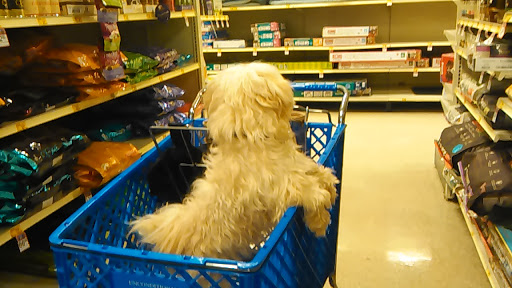 Pet Supply Store «PetSmart», reviews and photos, 1386 Atwood Ave, Johnston, RI 02919, USA