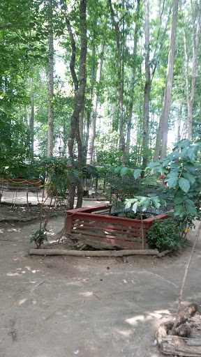 Zoo «3 Palms Zoo & Education Center», reviews and photos, 924 Blackbird Forest Rd, Clayton, DE 19938, USA