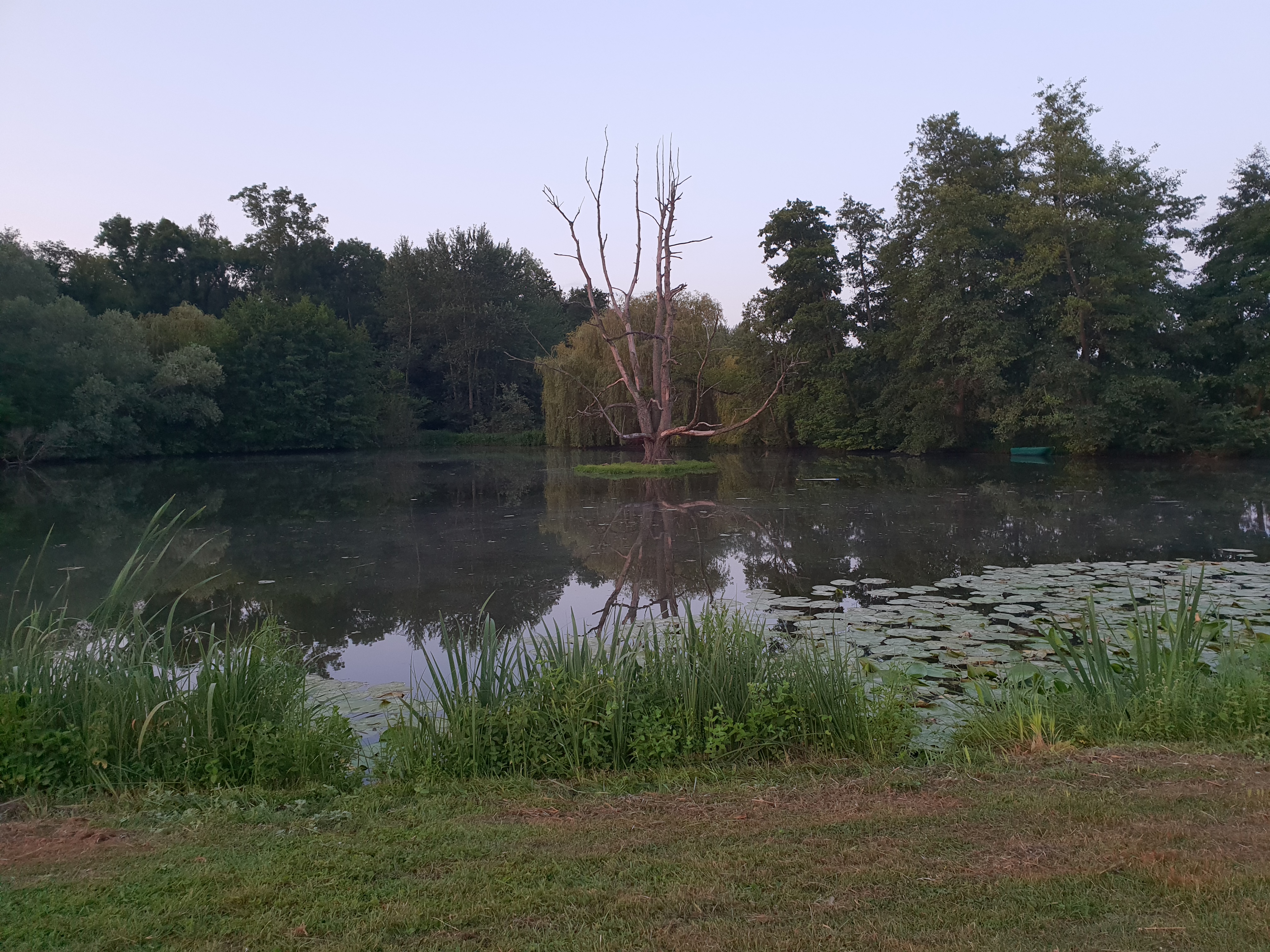 Photo n° 2 de l'avis de NADIA.A fait le 03/08/2019 à 20:14