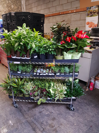 Grocery Store «Top Valu Market», reviews and photos, 421 Pacific Ave, Long Beach, CA 90802, USA